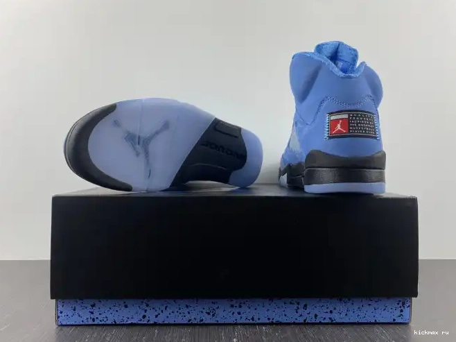 Rep 5 UNC Jordan Air DV1310-401 0506